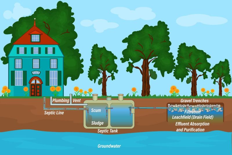Understanding Your Drain Field: The Key to a Healthy Septic System